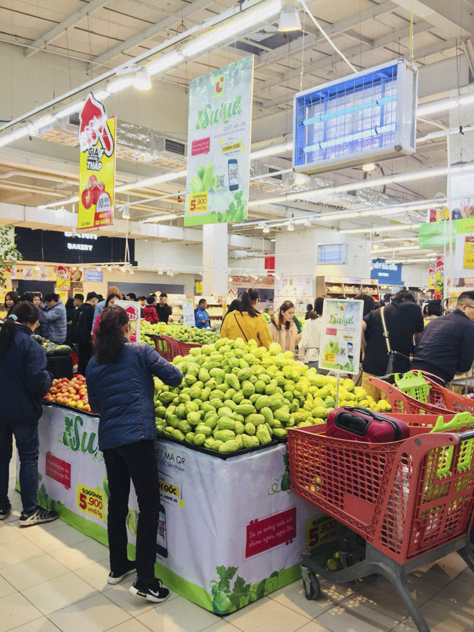 Đặc sản su su Hoàng Mai, Nghệ An tại Big C