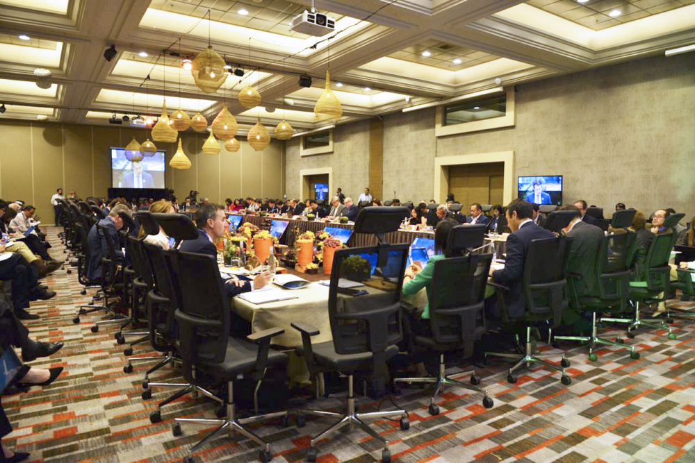 Hội nghị Quan chức cao cấp APEC lần thứ nhất năm 2019 (SOM 1)