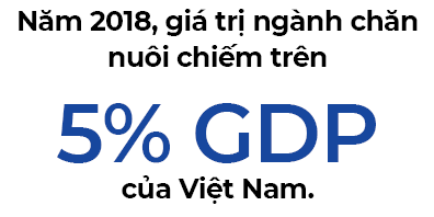 chan nuoi