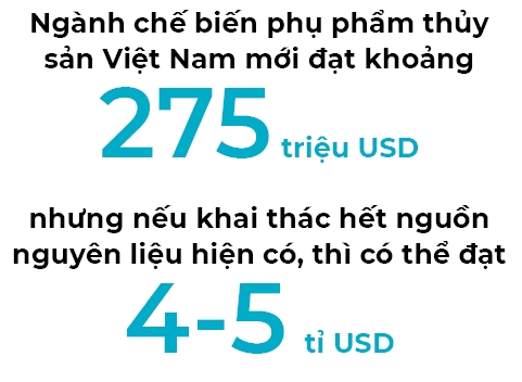 phu pham