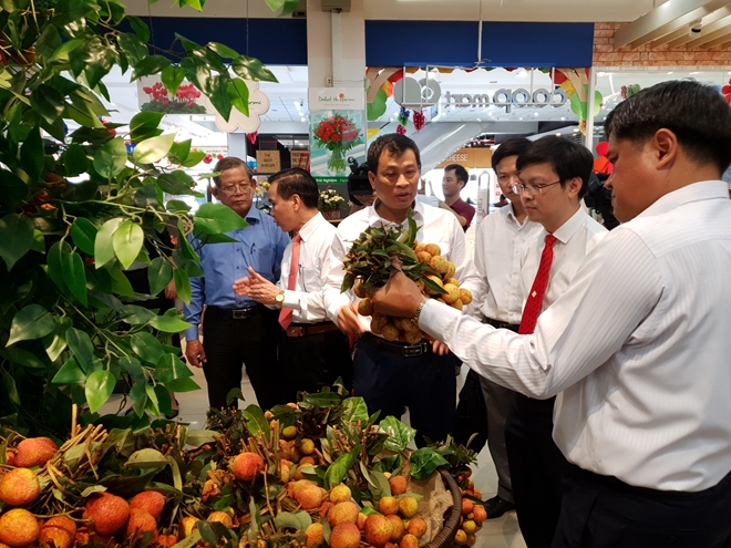 vải thiều bắc giang