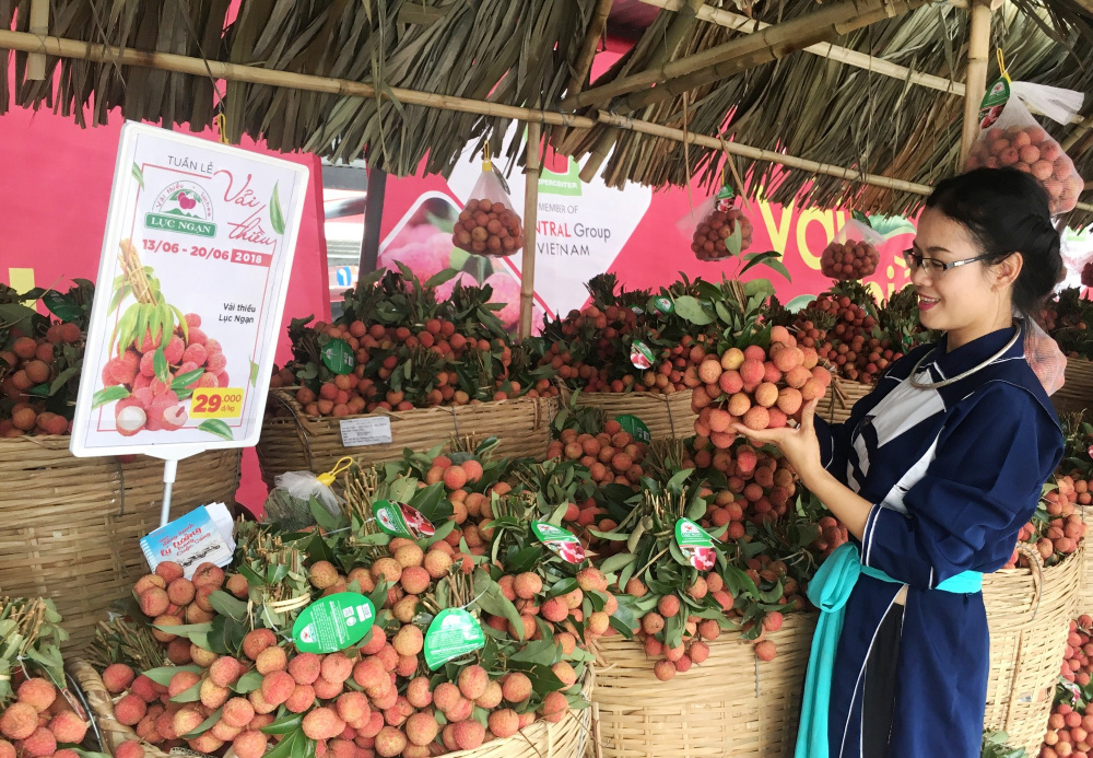 vải thiều lục ngạn