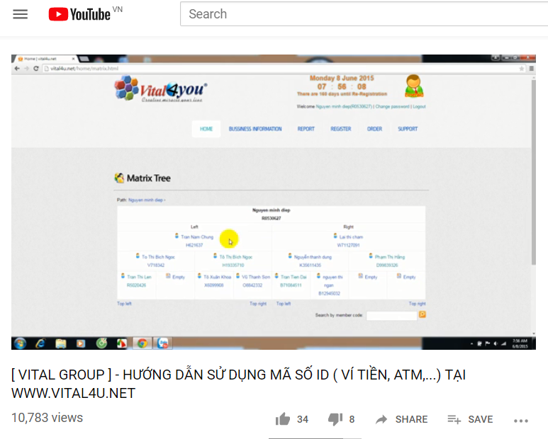 Cây hệ thống mạng lưới kinh doanh đa cấp tại vital4u.net