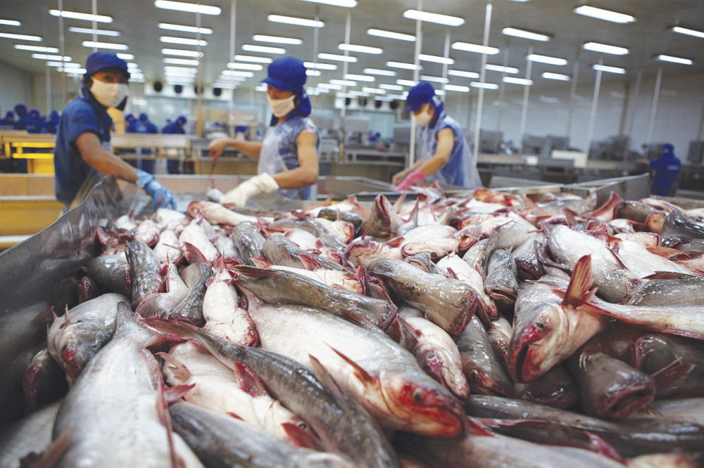 Thông tin về phòng vệ thương mại trong và ngoài nước được quan tâm