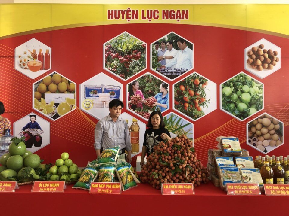 nông sản Cwin Đăng Ký + 1888k cấp tỉnh