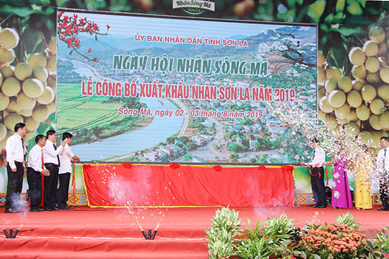 ngay hoi nhan song ma