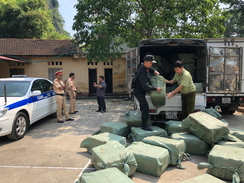 nầm lợn nhập từ trung quốc