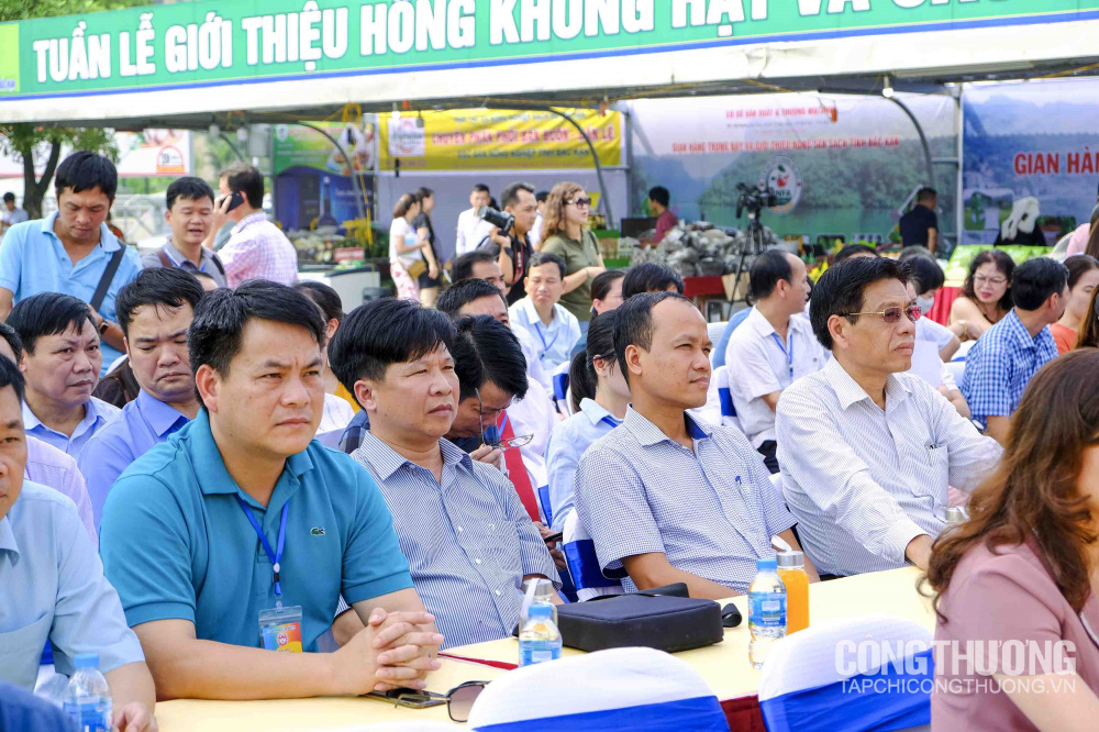 Tuần lễ giới thiệu Hồng không hạt và các sản phẩm nông sản sạch tỉnh Bắc Kạn năm 2019 tại Big C Thăng Long