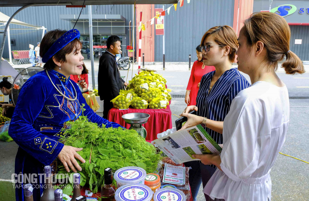 Đại diện khối Thu mua Big C trao đổi với hợp tác xã Sang Hà, Bắc Kạn