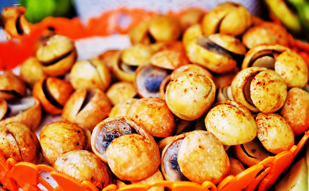sấu chín dầm
