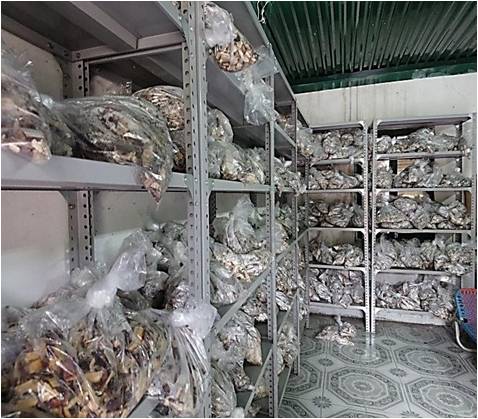 Lấy mẫu phân lập tại Nhà máy Giấy Bãi Bằng và Nhà máy Giấy Mục Sơn