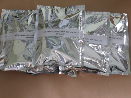 Các chế phẩm sinh học phân hủy nhựa cây của đề tài