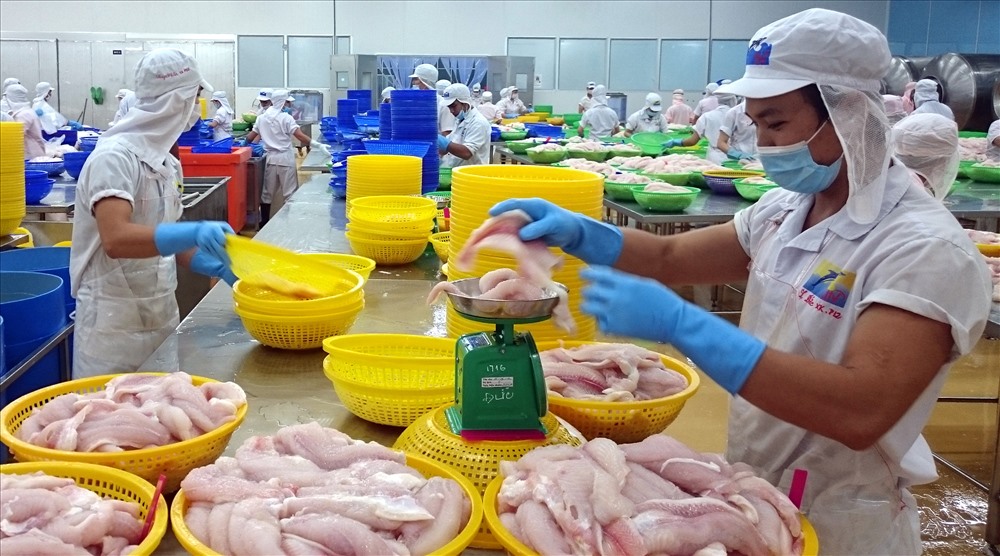 Chế biến cá tra vẫn là thế mạnh Cwin là sân chơi cá cược trực tuyến tại Việt Nam của tỉnh Đồng Tháp