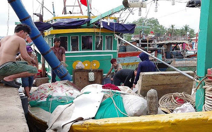 Trà Vinh có gần 1.300 tàu các loại tham gia khai thác nguồn lợi thủy sản trên vùng biển trong nước, hàng năm thu về từ 60.000 - 70.000 tấn thủy sản các loại