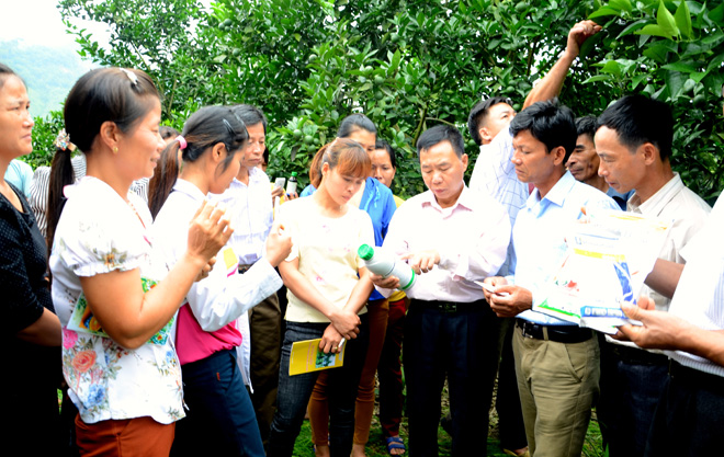 Hướng dẫn sử dụng thuốc bảo vệ thực vật