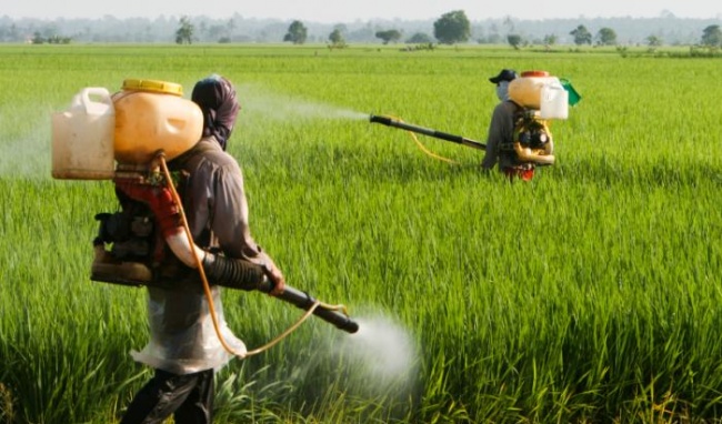 Phạt tiền từ 45 - 50 triệu đồng  Đối với hành vi buôn bán thuốc bảo vệ thực vật trong Danh mục thuốc bảo vệ thực vật cấm sử dụng tại Việt Nam có khối lượng từ 50 kilôgam (hoặc 50 lít) 