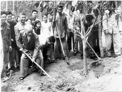 Ngày 16/2/1969 (mồng 1 Tết), Bác Hồ trồng cây ở xã Vật Lại, huyện Ba Vì, tỉnh Hà Tây (nay là Hà Nội) nhân Tết Kỷ Dậu