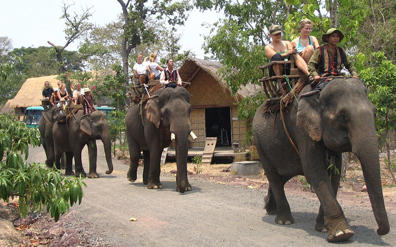 Tây Nguyên nắng đẹp