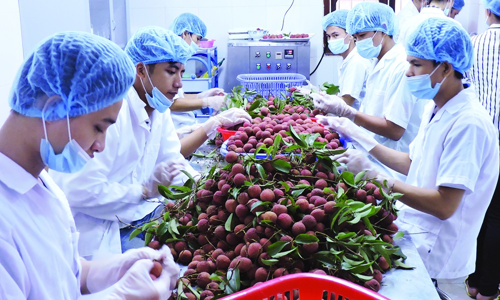 Cwin Đăng Ký + 1888k nông sản chính ngạch