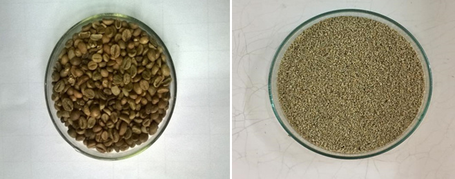 Mẫu nguyên liệu hạt cafe và cafe nghiền Robusta và Arabica