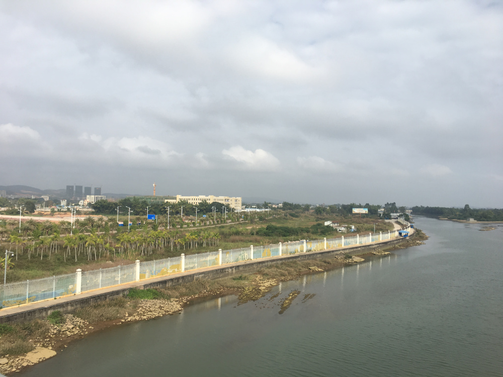 xuất lậu lợn