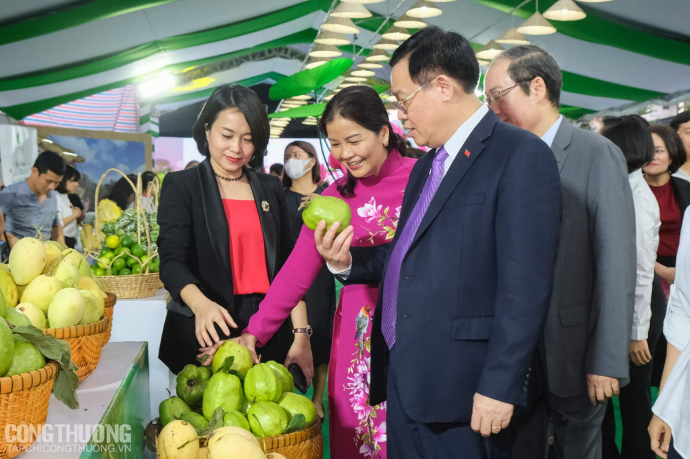 Tuần hàng cá tra/basa và đặc sản Đồng Tháp tại Hà Nội năm 2020