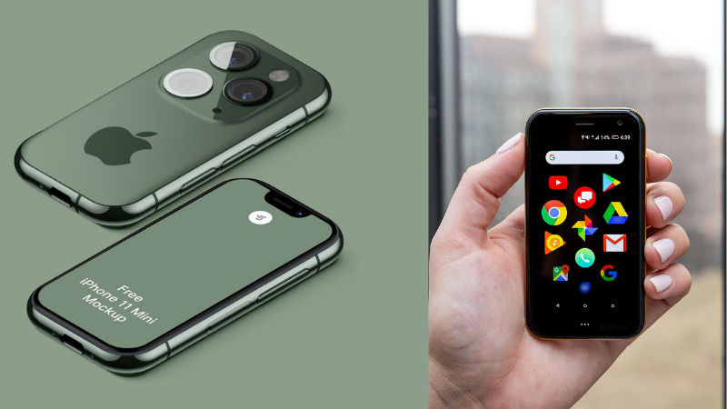iPhone 11 Mini