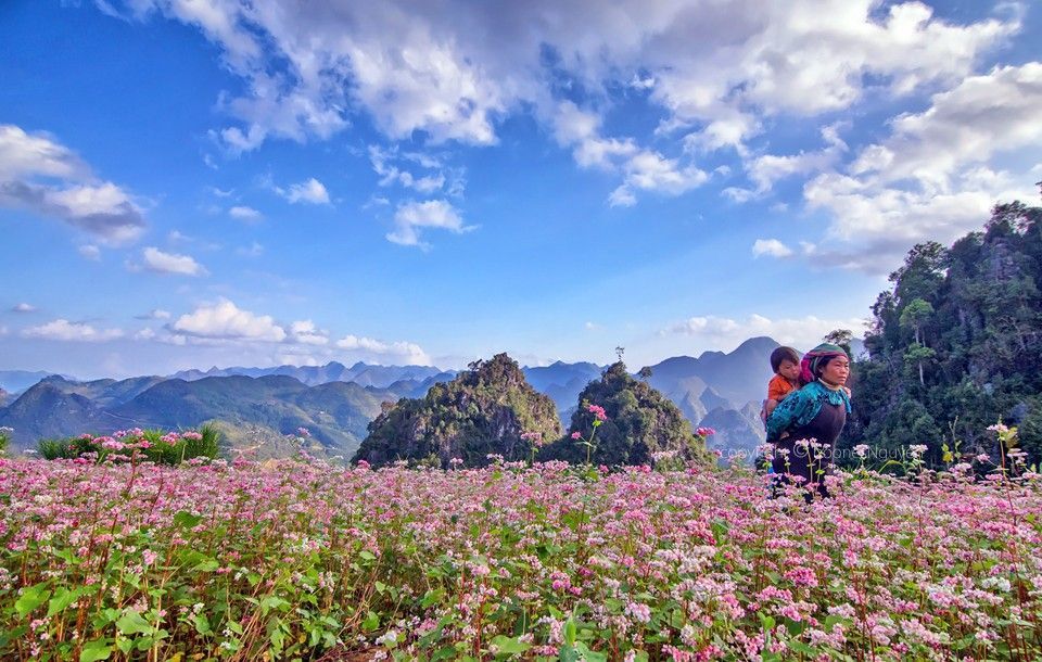 Tam giác mạch