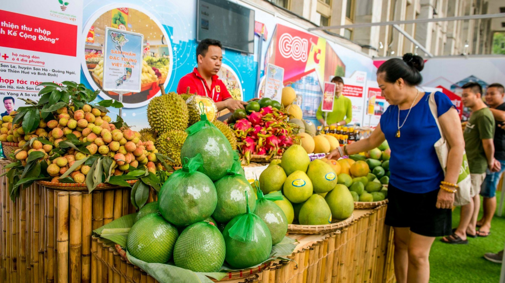 việt nam - liên bang nga