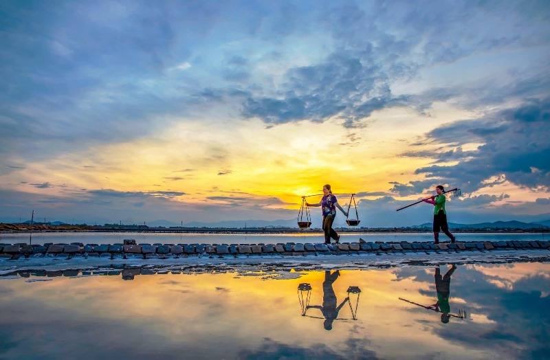 Cánh đồng muối