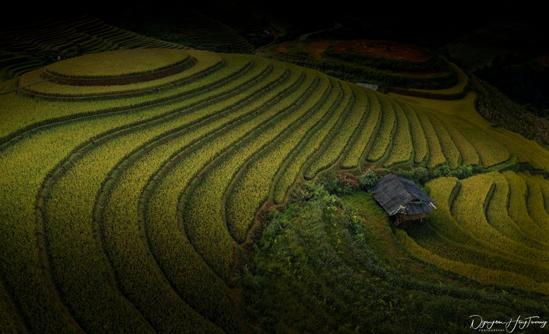 Đồi mâm xôi