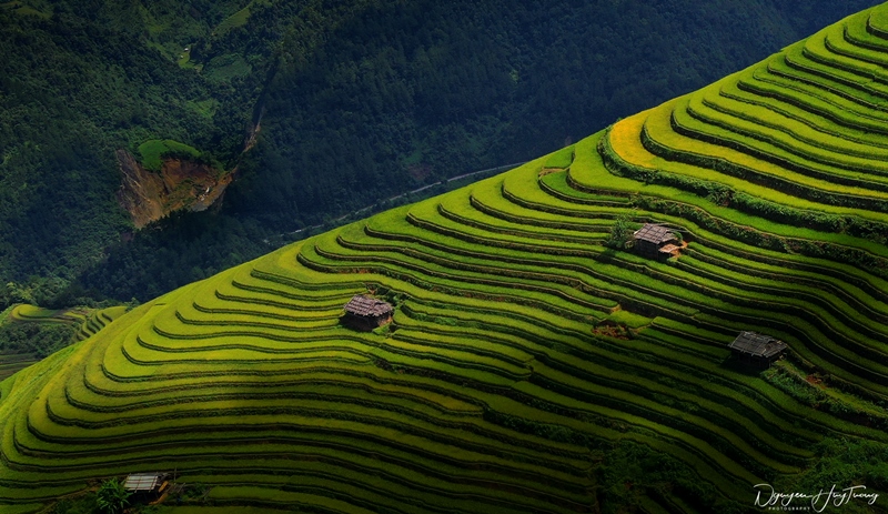 Cù Căng CHải