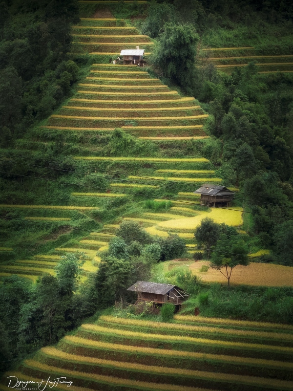 Tú Lệ