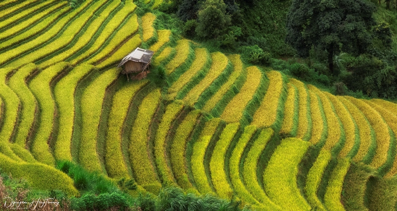 Tú Lệ