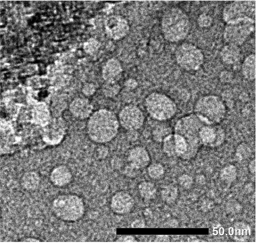 Ảnh hiển vi điện tử truyền qua (HR-TEM)