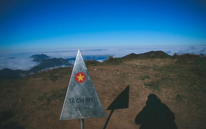 ta chi nhu