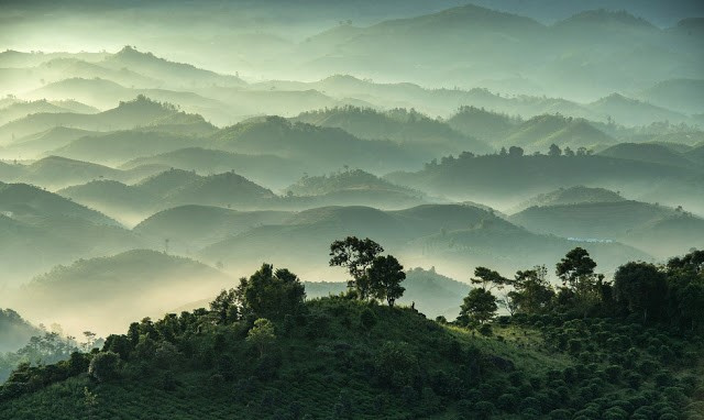 Núi Đại Bình