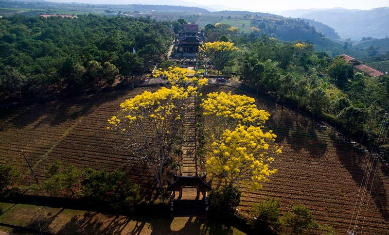 Tu viện