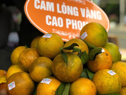 cam cao phong