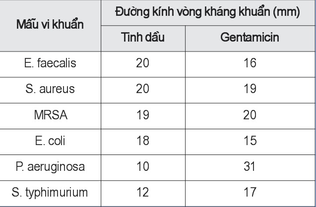 Khả năng kháng khuẩn của tinh dầu hương thảo