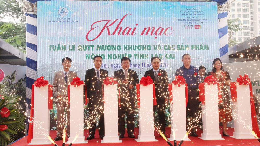 quýt mường khương