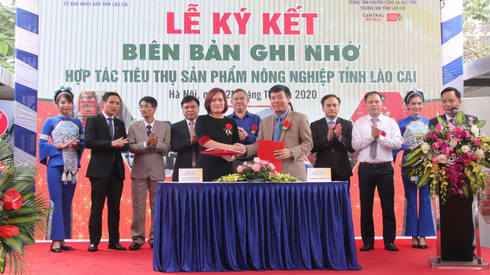 quýt mường khương