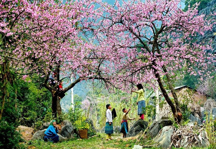 Tây Bắc Việt Nam