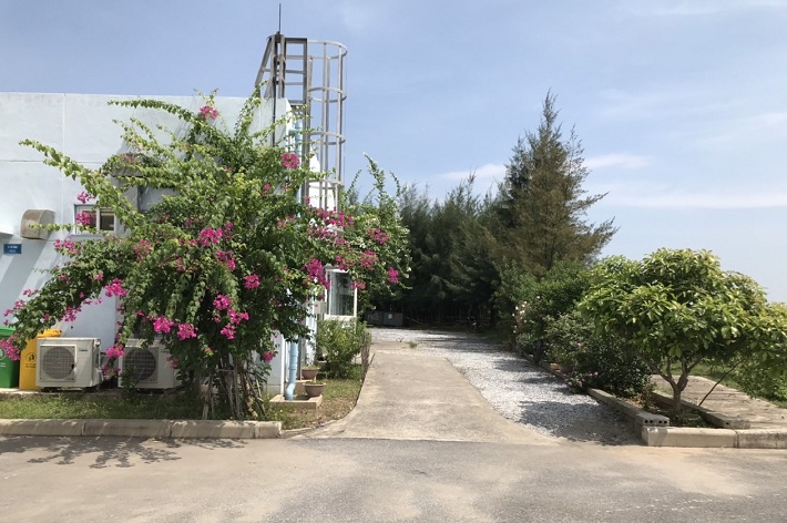 Cảnh quan môi trường 
