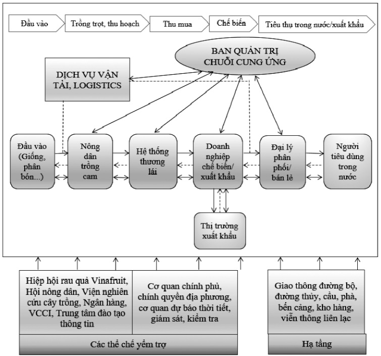 Sự liên kết và các tác nhân