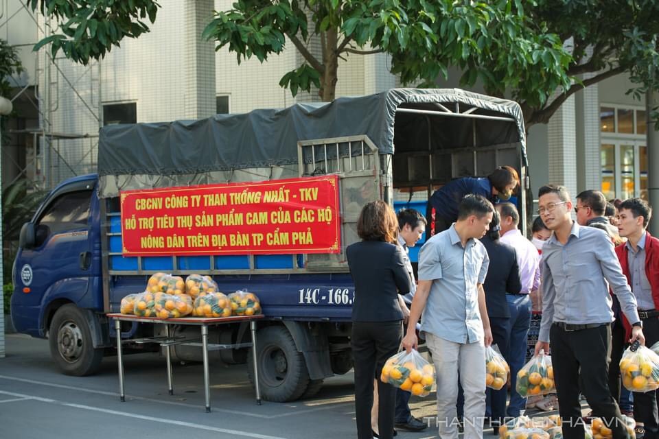than thong nhat