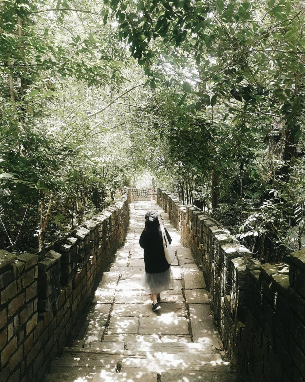 Đồi mộng mơ