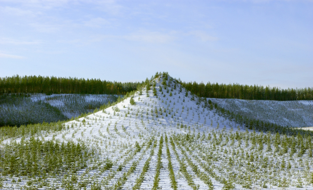 Tree mountion