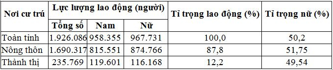 luc_luong_lao_dong_chia_theo_gioi_tinh