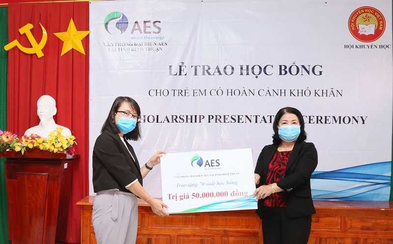 AES Việt Nam